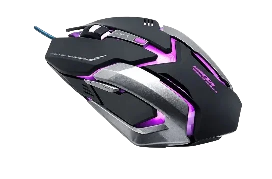 Sichqoncha